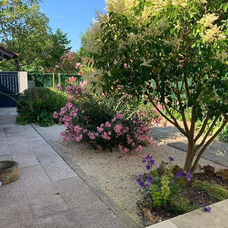 Petite Maison Pres Du Centre LʼIsle-sur-la-Sorgue Dış mekan fotoğraf