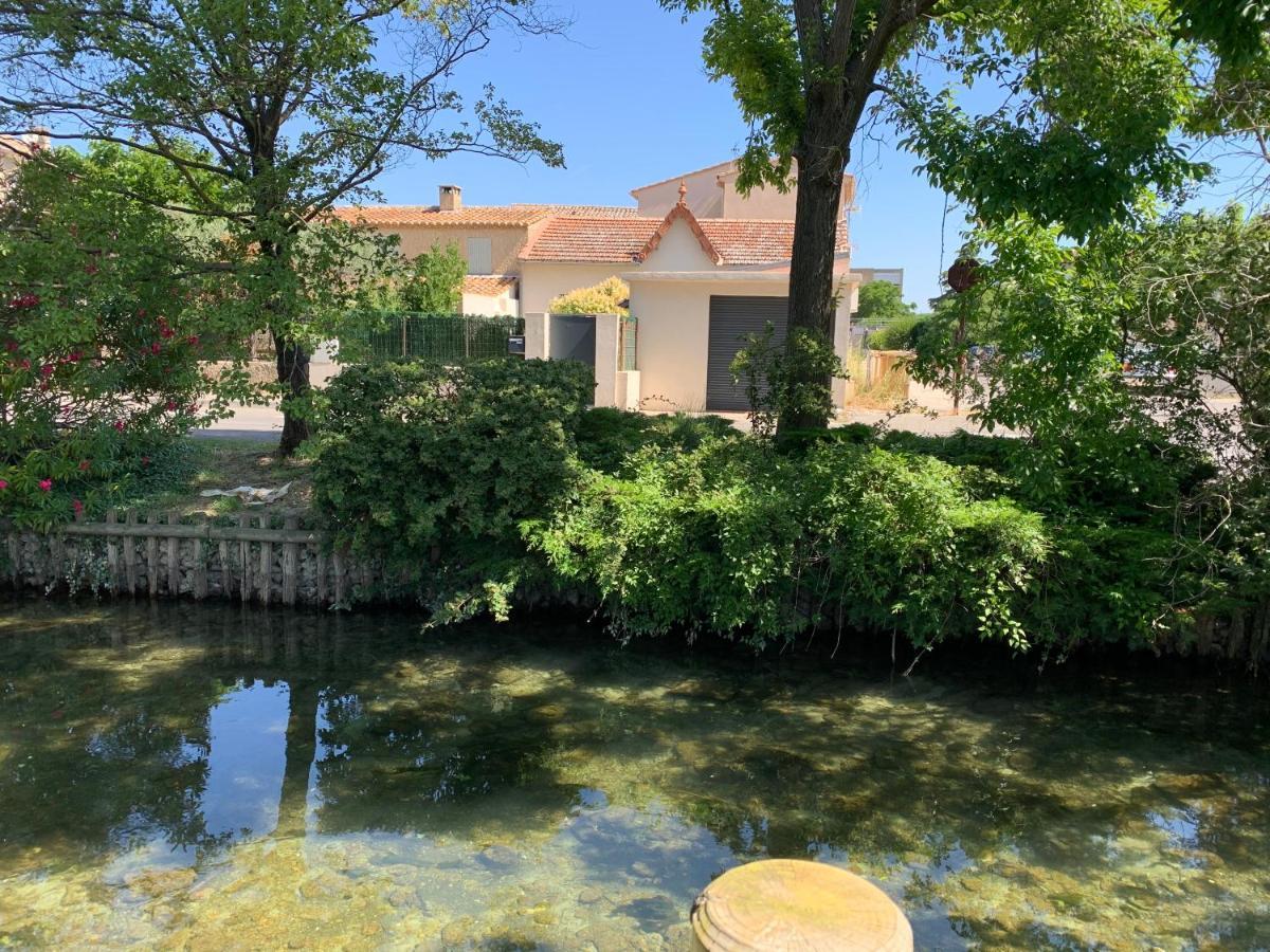 Petite Maison Pres Du Centre LʼIsle-sur-la-Sorgue Dış mekan fotoğraf