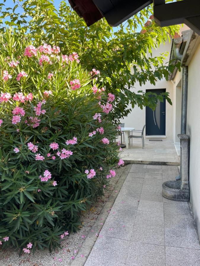 Petite Maison Pres Du Centre LʼIsle-sur-la-Sorgue Dış mekan fotoğraf